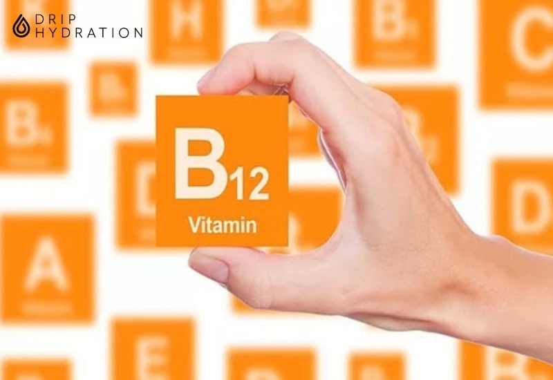 Vitamin B12 rất quan trọng trong việc hình thành tế bào máu