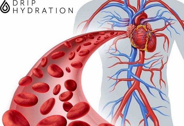 Những bệnh lý tim mạch có liên quan đến mỡ nội tạng