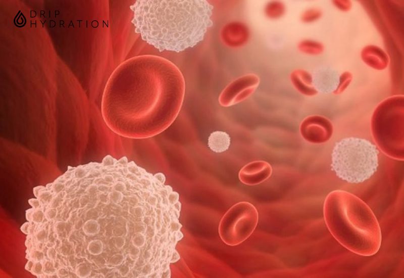 Chỉ số MONO trong xét nghiệm máu là xét nghiệm đánh giá mức độ ổn định của loại tế bào bạch cầu này trong máu