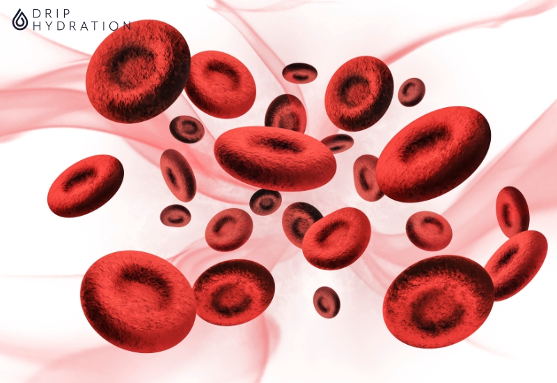 Chỉ số RDW-CV giúp đánh giá các rối loạn về số lượng và kích thước các tế bào máu