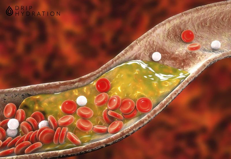 Cách cholesterol hoạt động trong cơ thể như thế nào là thắc mắc của nhiều người