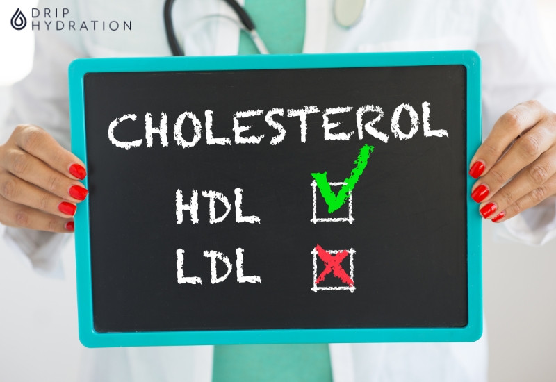 Hình 1. HDL cholesterol có vai trò quan trọng đối với sức khỏe