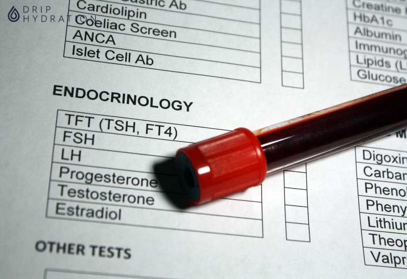 Hình 1. Estradiol là dạng hoạt động mạnh nhất của Estrogen