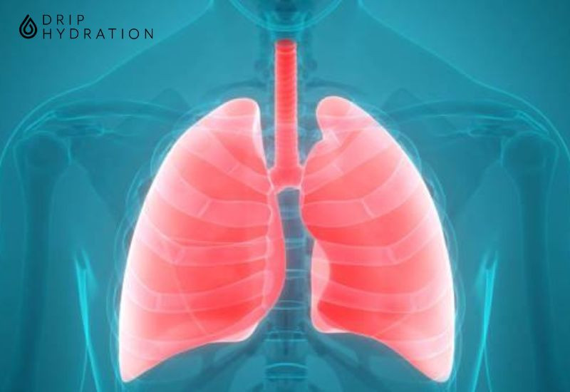 chỉ số bmi ở người bị copd