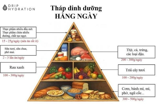 tháp dinh dưỡng cho người béo phì