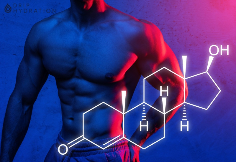 Hình 1. Testosterone là một hormone quan trọng ở nam giới