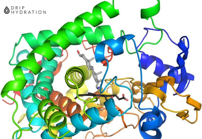 enzyme tăng đề kháng