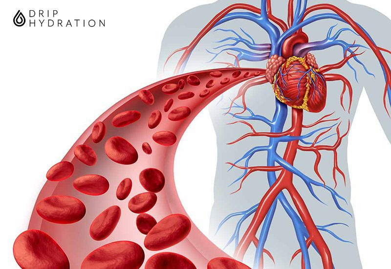 triglyceride ảnh hưởng gì tới tim mạch