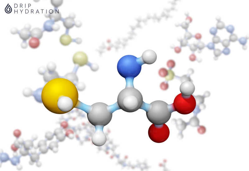 Hình 1. Protein được hình thành nhờ các amino acid gắn với nhau thông qua liên kết peptit