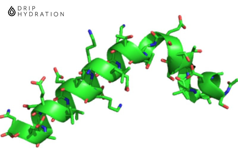 peptide