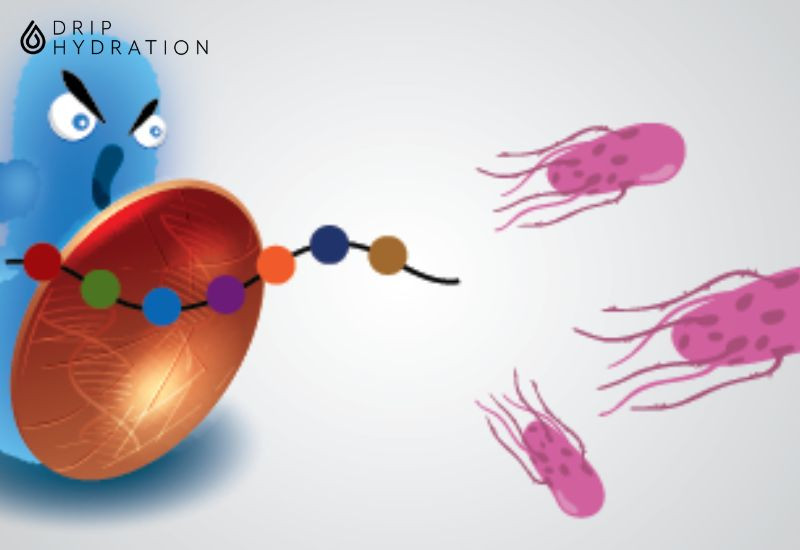 peptide