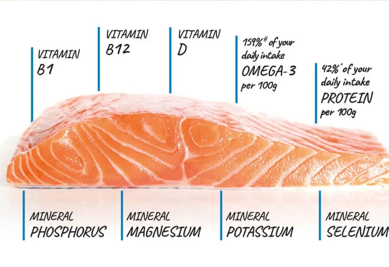 Dinh dưỡng đặc biệt từ cá hồi giúp nâng cao sức khoẻ và duy trì vóc dáng