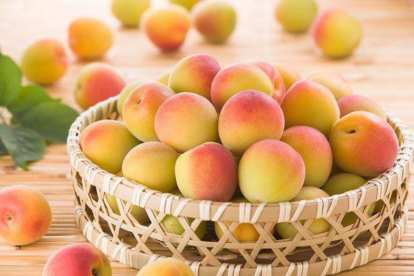Đào có nhiều công dụng cho sức khỏe con người