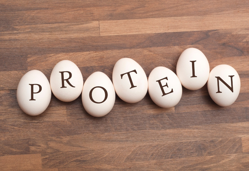 Protein đóng vai trò rất quan trọng trong quá trình tăng cơ và giảm mỡ