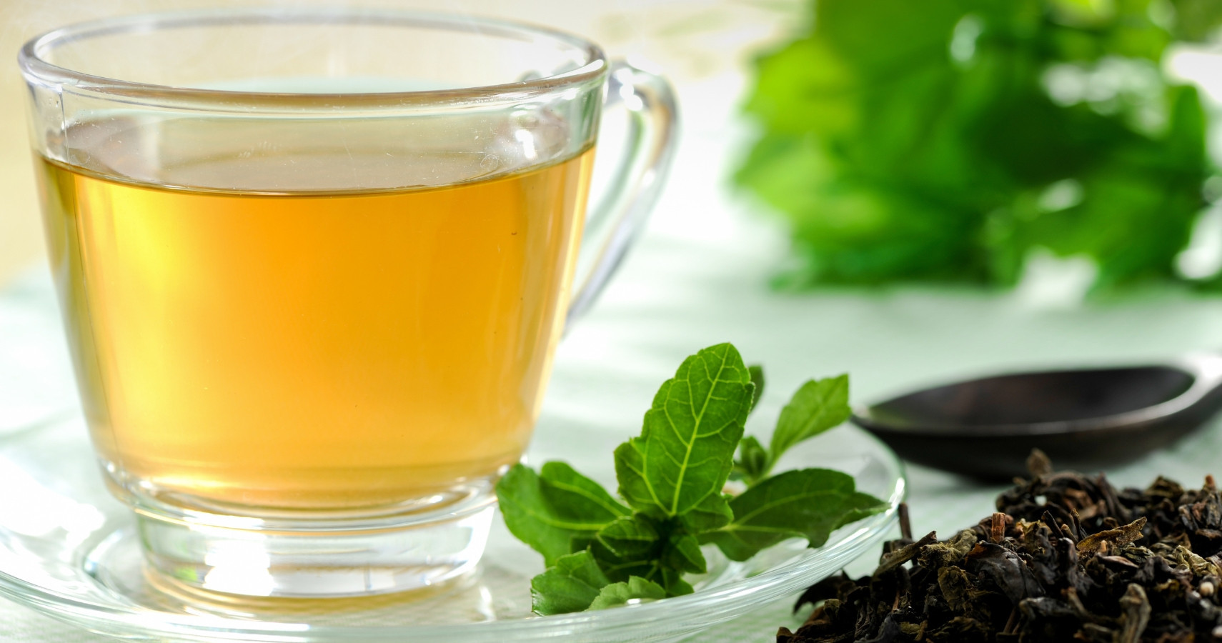 Uống trà xanh chống lão hóa tốt không?