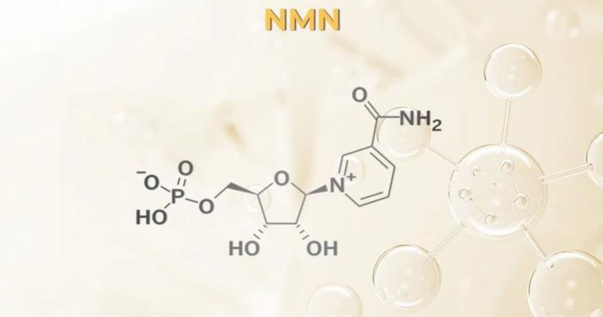 Các cơ sở khoa học đã được nghiên cứu của NMN/NAD+