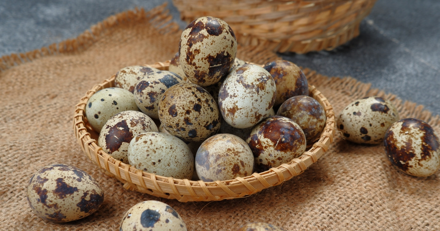 1 quả trứng cút bao nhiêu calo và ăn nhiều có tăng cân không?