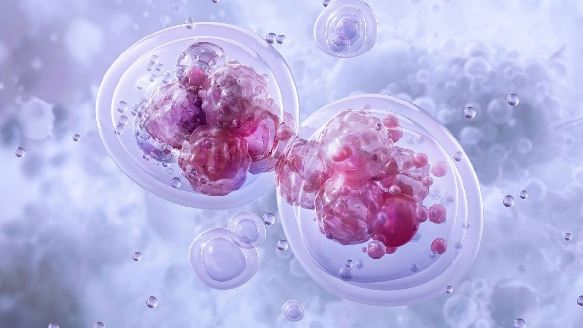 Bổ sung chất chống lão hóa tế bào đúng cách