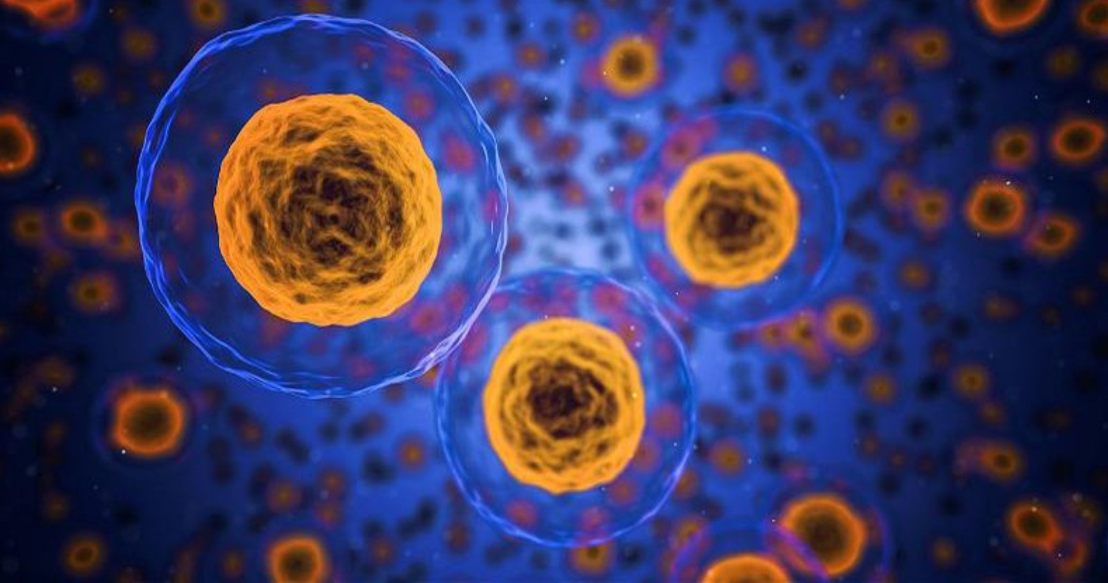 Xét nghiệm nào có thể phát hiện lão hóa tế bào?