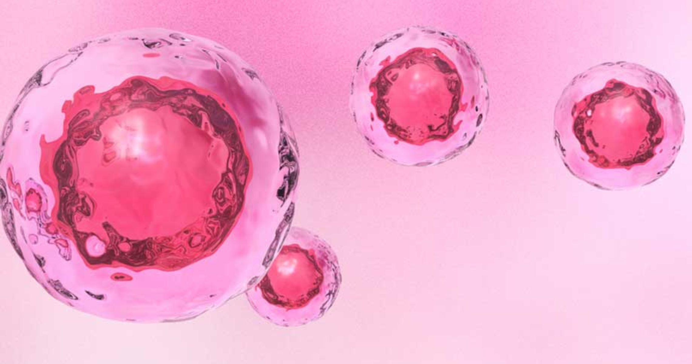 Tế bào gốc là gì và chúng có tác dụng gì?