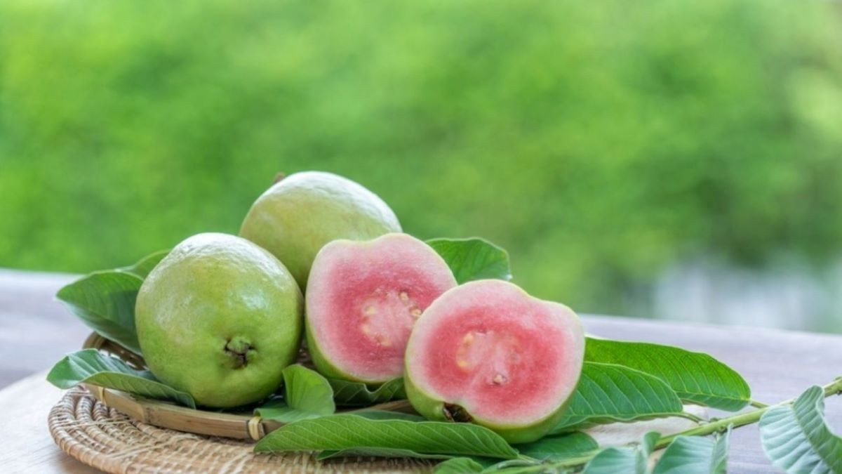 Đau dạ dày có ăn được ổi không? Chuyên gia giải đáp