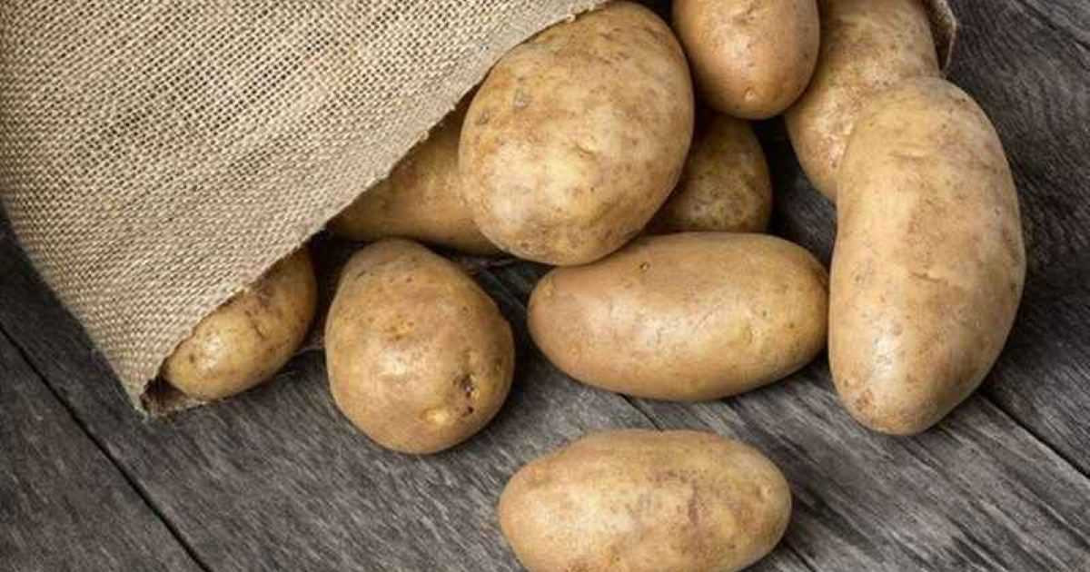 Tác dụng của khoai tây đối với sức khỏe, sắc đẹp và vóc dáng