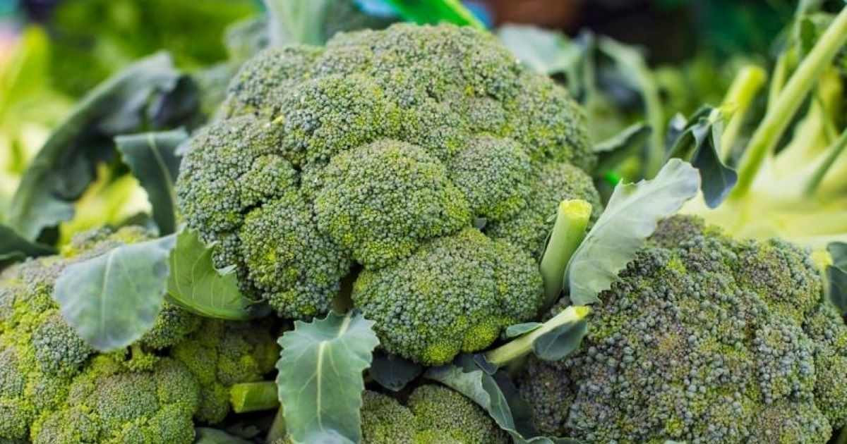 Bông cải xanh bao nhiêu calo? Bí quyết ăn uống khoa học cho người giảm cân