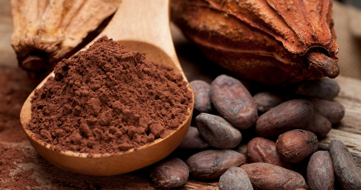 Bột cacao bao nhiêu calo? Uống ca cao có béo không?