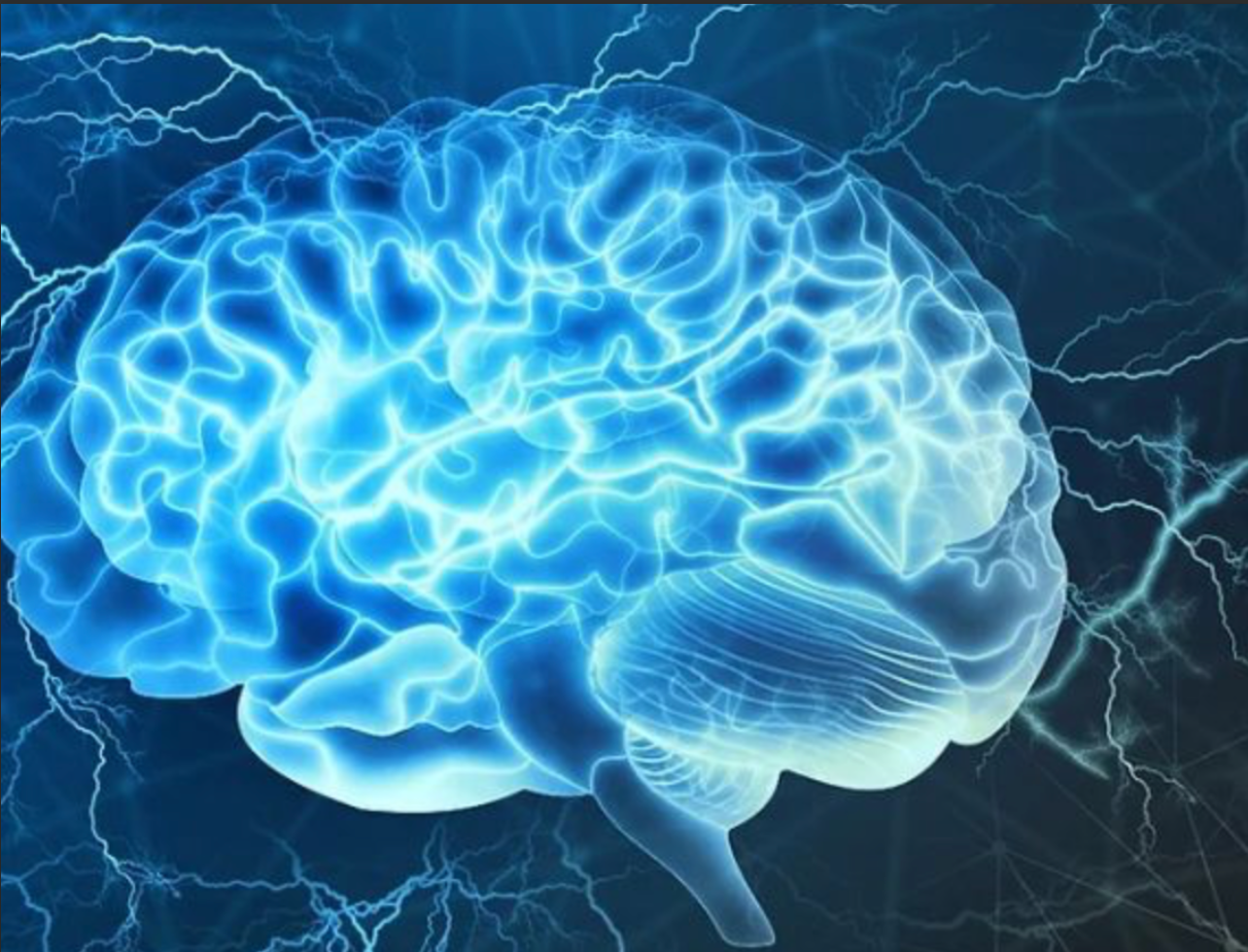 Thông tin về thuốc bổ não Cerebrolysin dạng tiêm