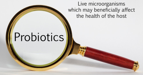 Probiotics là gì và có thể giúp bạn giảm mỡ bụng như thế nào?