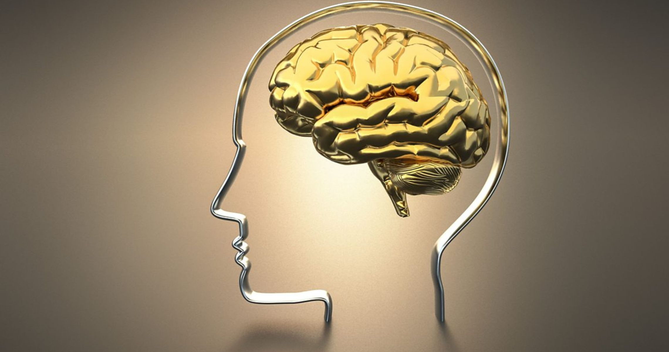 Chúng ta sử dụng bao nhiêu % bộ não?