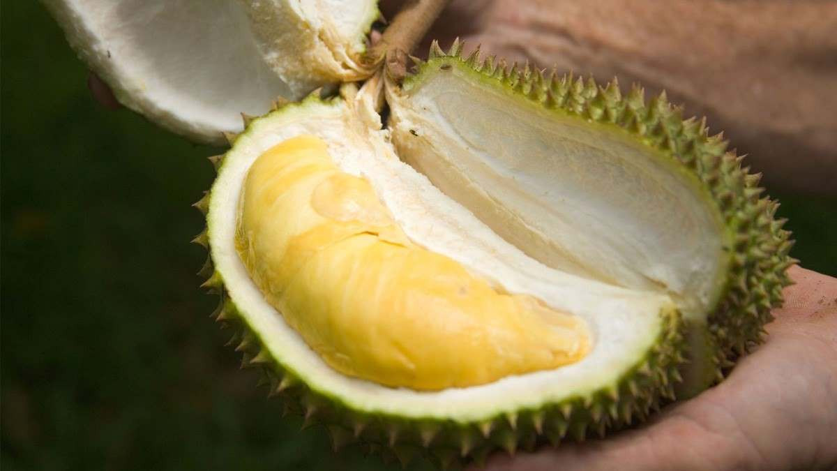 Sầu riêng bao nhiêu calo? Ăn sầu riêng có béo không?