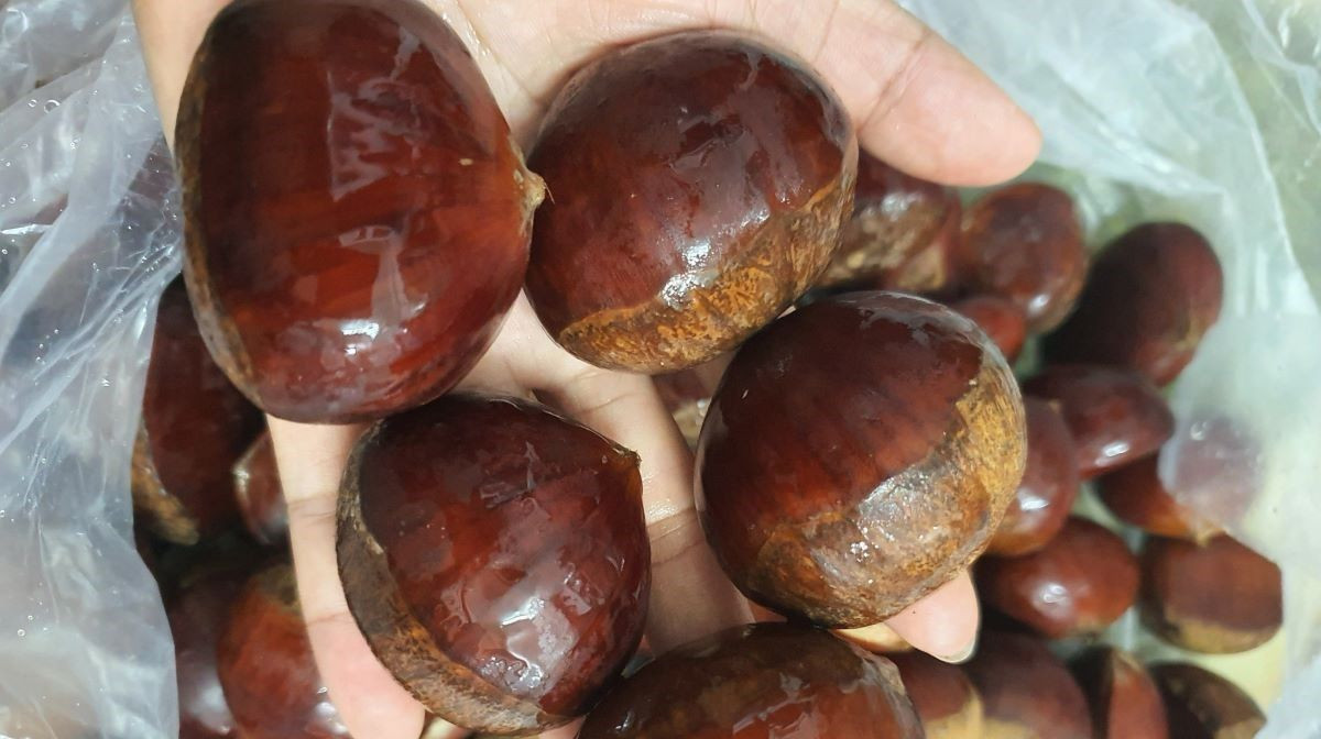 Hạt dẻ bao nhiêu calo? Ăn hạt dẻ có béo không?