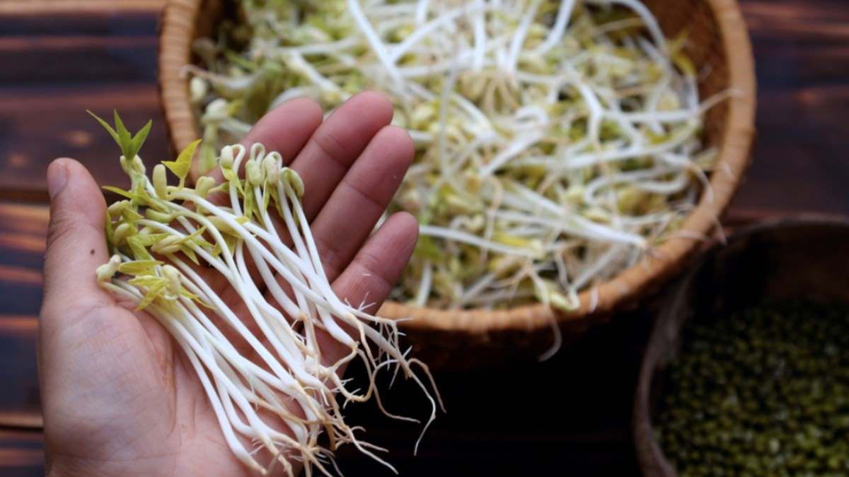 Calo giá đỗ là bao nhiêu? Cách chế biến giá đỗ giữ nguyên dinh dưỡng