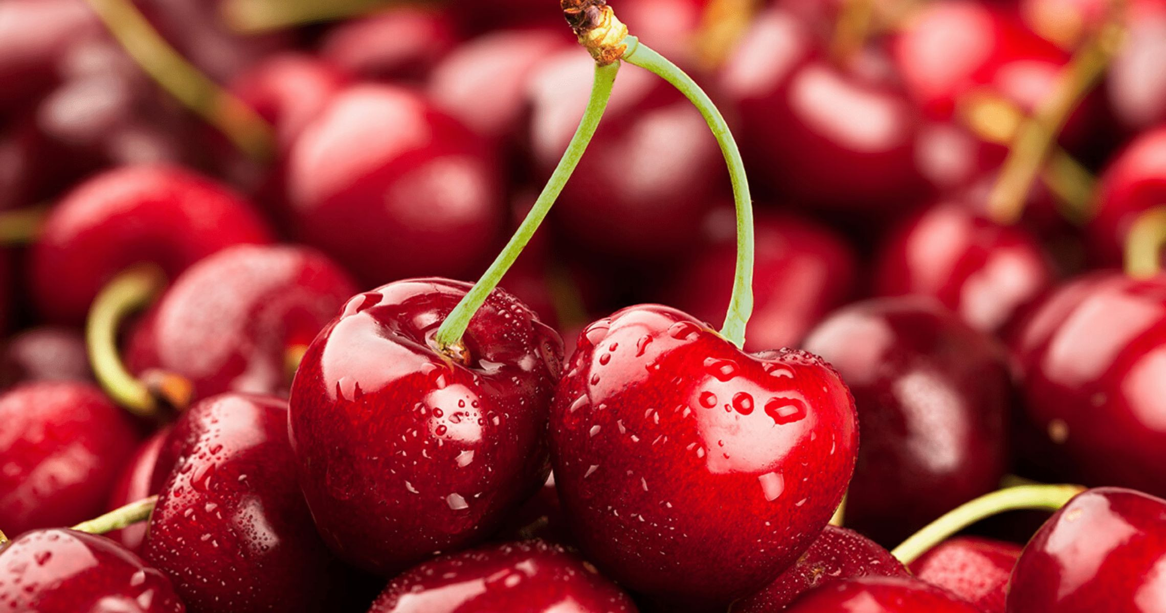 Ngày nào cũng ăn cherry có béo không?