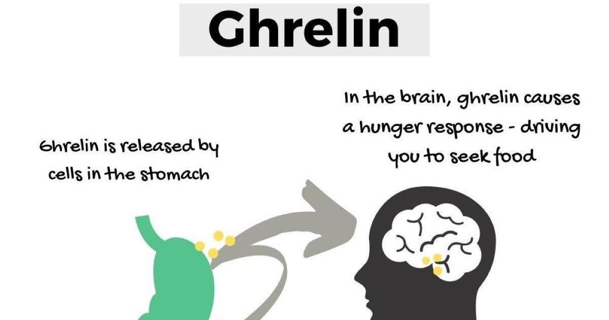 Gherlin là gì? Ảnh hưởng gì đến cảm giác đói và thèm ăn?