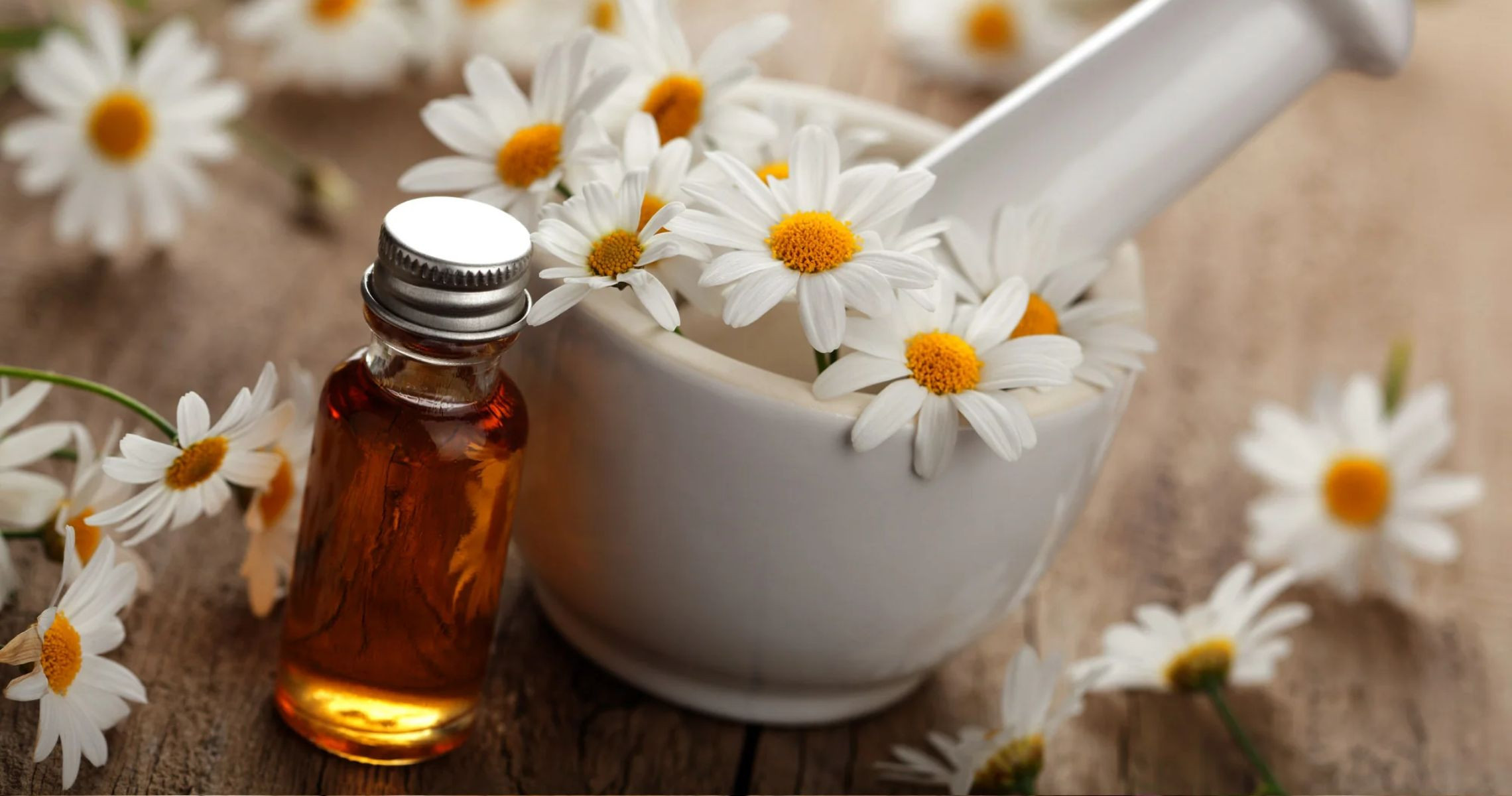 Tinh dầu hoa cúc có tác dụng gì với cho sức khỏe tâm thần?